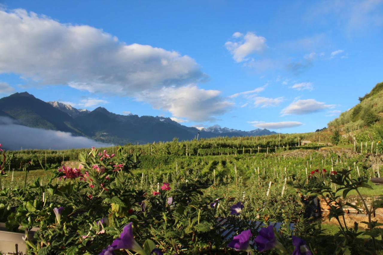 La Vita In Campagna Villa di Tirano ภายนอก รูปภาพ