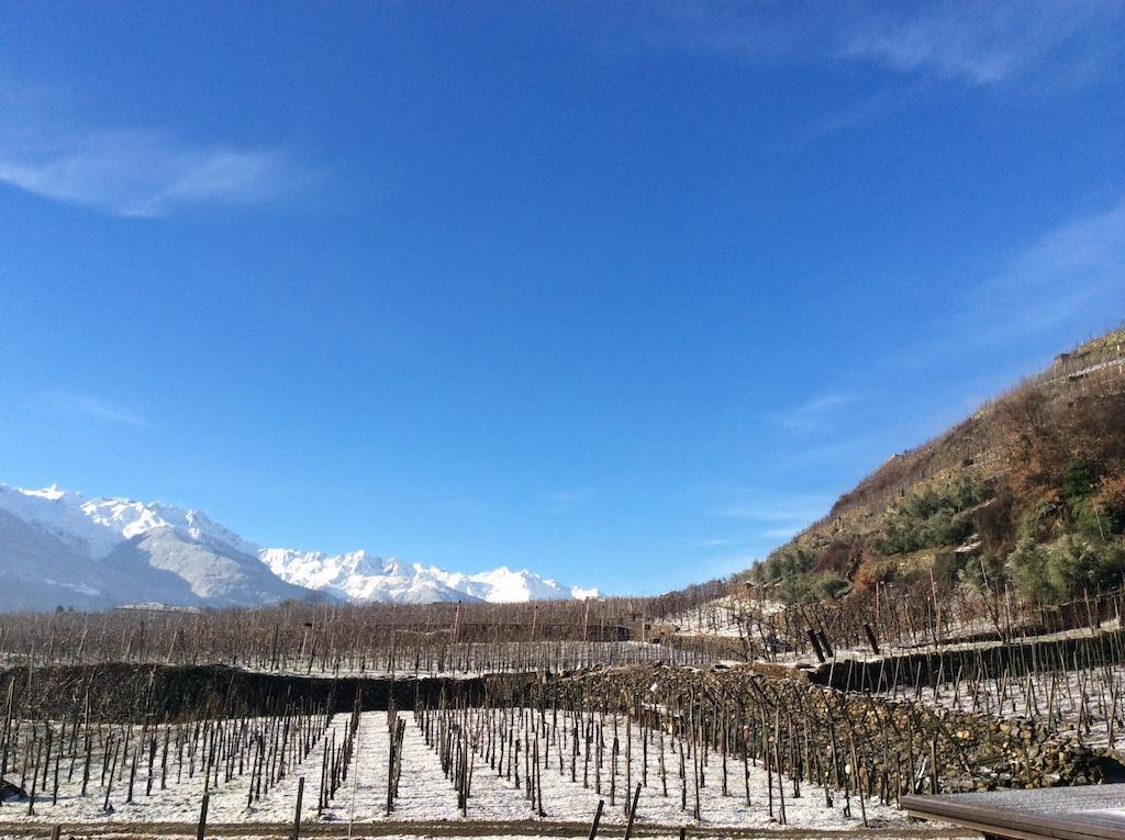 La Vita In Campagna Villa di Tirano ภายนอก รูปภาพ
