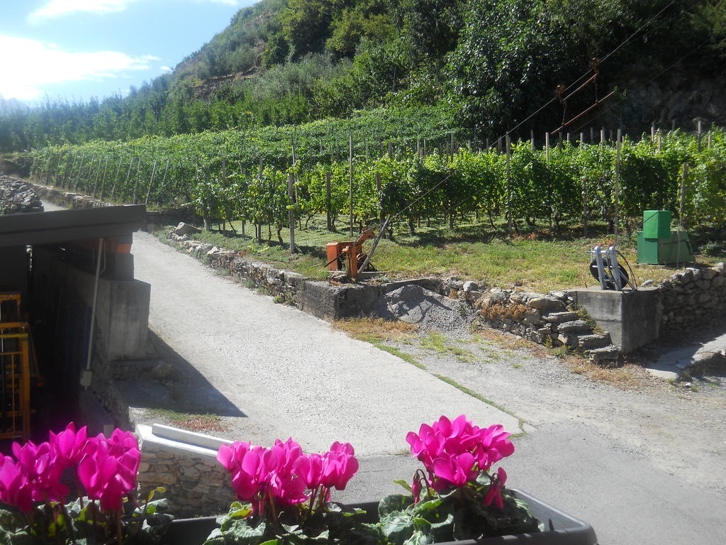 La Vita In Campagna Villa di Tirano ภายนอก รูปภาพ