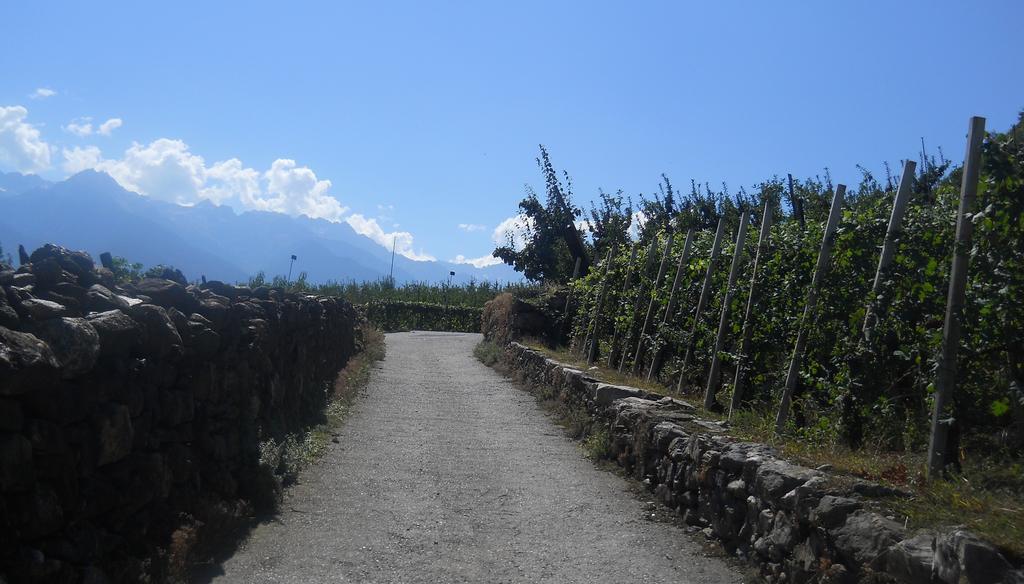 La Vita In Campagna Villa di Tirano ภายนอก รูปภาพ